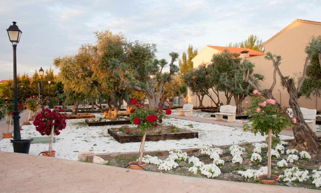 Las Olivas- Borox Aparthotel Sesena Nuevo Ngoại thất bức ảnh